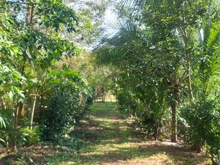 Foto 41 de VENDO FINCA GANADERA 34.7 HA EN TARAPOTO - PERU