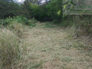 Foto 5 de VENDEMOS A BUEN PRECIO FINCA EN VEREDA DEL MUNICIPIO DE RICAURTE