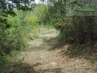 Foto 6 de VENDEMOS A BUEN PRECIO FINCA EN VEREDA DEL MUNICIPIO DE RICAURTE