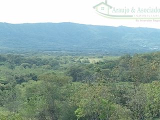 Foto 11 de VENDEMOS A BUEN PRECIO FINCA EN VEREDA DEL MUNICIPIO DE RICAURTE