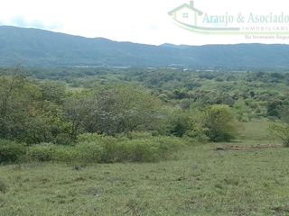 Foto 12 de VENDEMOS A BUEN PRECIO FINCA EN VEREDA DEL MUNICIPIO DE RICAURTE