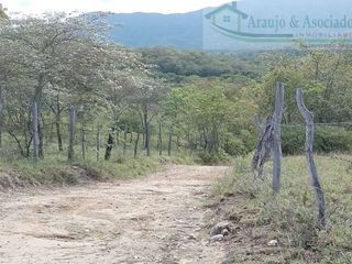 Foto 9 de VENDEMOS A BUEN PRECIO FINCA EN VEREDA DEL MUNICIPIO DE RICAURTE