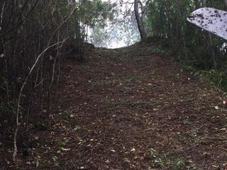 Foto 2 de VENDEMOS A BUEN PRECIO FINCA EN VEREDA DEL MUNICIPIO DE RICAURTE