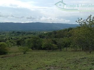 Foto 8 de VENDEMOS A BUEN PRECIO FINCA EN VEREDA DEL MUNICIPIO DE RICAURTE