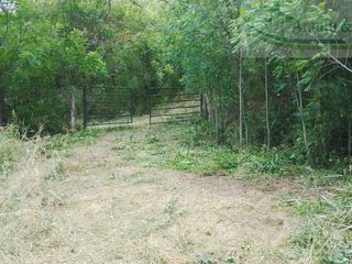 Foto 4 de VENDEMOS A BUEN PRECIO FINCA EN VEREDA DEL MUNICIPIO DE RICAURTE