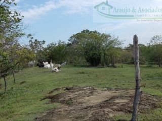 Foto 7 de VENDEMOS A BUEN PRECIO FINCA EN VEREDA DEL MUNICIPIO DE RICAURTE