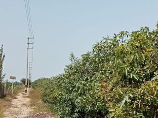 Venta De Terreno Agricola En Chincha