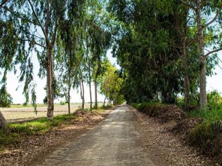 Foto 4 de Exclusivo terreno en condominio para casa de campo cerca a la playa en Chincha