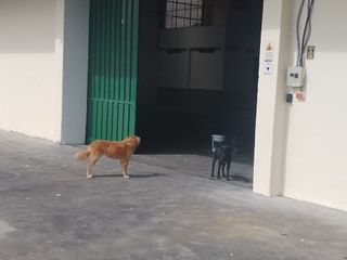 ARRIENDO BODEGA 600 MTS. CALDERÓN