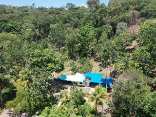 Foto 4 de VENDO TERRENO 2.60 Has. TARAPOTO PERÚ