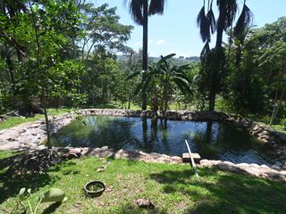 Foto 12 de VENDO TERRENO 2.60 Has. TARAPOTO PERÚ