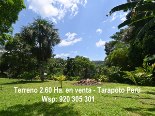 Foto 1 de VENDO TERRENO 2.60 Has. TARAPOTO PERÚ