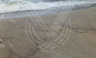 place photo 76
