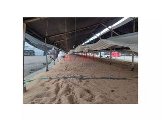 Foto 6 de Se Vende Terreno En Huaral