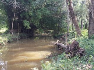 Foto 6 de Exclusiva Isla en el Tigre con casa de 1910