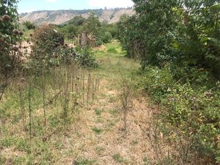 VENTA FINCA 3 HECT. GUAYLLABAMBA