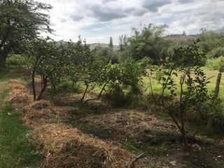 VENTA FINCA 3 HECT. GUAYLLABAMBA