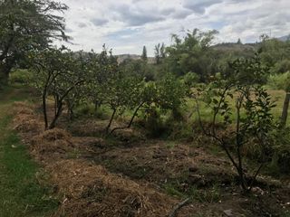 VENTA FINCA 3 HECT. GUAYLLABAMBA