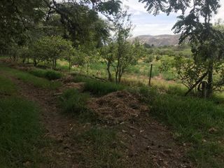 VENTA FINCA 3 HECT. GUAYLLABAMBA