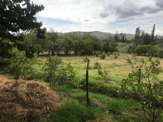 VENTA FINCA 3 HECT. GUAYLLABAMBA