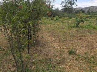 VENTA FINCA 3 HECT. GUAYLLABAMBA