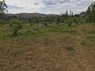 VENTA FINCA 3 HECT. GUAYLLABAMBA