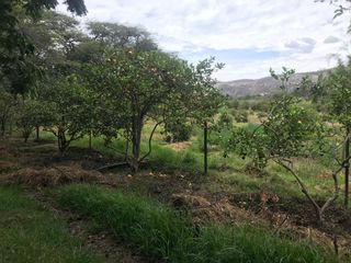 VENTA FINCA 3 HECT. GUAYLLABAMBA