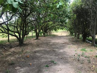 VENTA FINCA 3 HECT. GUAYLLABAMBA