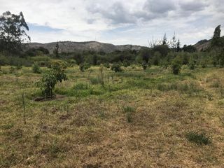 VENTA FINCA 3 HECT. GUAYLLABAMBA