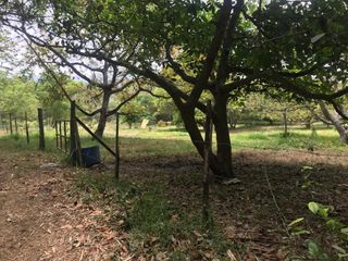 VENTA FINCA 3 HECT. GUAYLLABAMBA