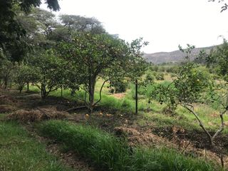 VENTA FINCA 3 HECT. GUAYLLABAMBA