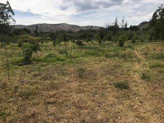 VENTA FINCA 3 HECT. GUAYLLABAMBA