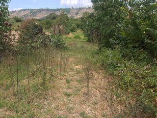 VENTA FINCA 3 HECT. GUAYLLABAMBA