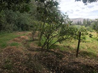 VENTA FINCA 3 HECT. GUAYLLABAMBA