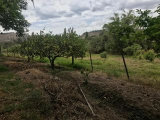 VENTA FINCA 3 HECT. GUAYLLABAMBA