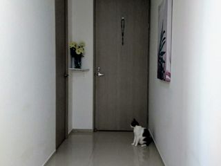 Foto 15 de Venta Apartamento Bellavista, Barranquilla. HERMOSOS ACABADOS.
