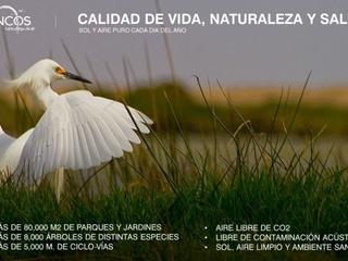 Foto 4 de ¡Descubre el paraíso en el corazón del Norte Chico de Lima!