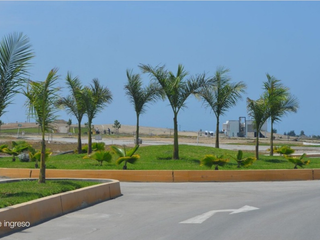 Foto 15 de ¡Descubre el paraíso en el corazón del Norte Chico de Lima!