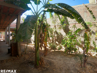 Foto 11 de Vivienda en CASCO ROJO En Venta - Cachiche (Ica)
