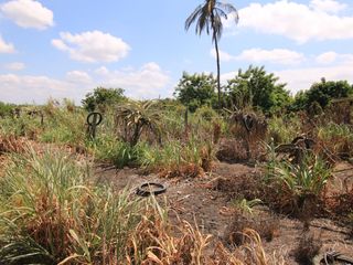 Foto 3 de VENTA DE TERRENO – CARRETERA SULLANA-TAMBOGRANDE-PIURA