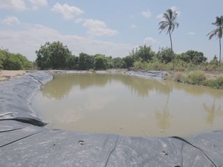 Foto 7 de VENTA DE TERRENO – CARRETERA SULLANA-TAMBOGRANDE-PIURA