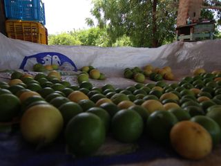 Foto 13 de VENTA DE TERRENO – CARRETERA SULLANA-TAMBOGRANDE-PIURA
