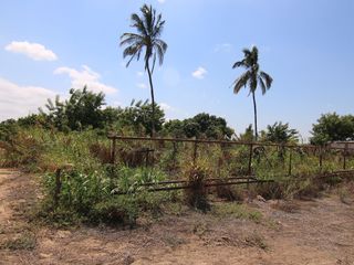 Foto 4 de VENTA DE TERRENO – CARRETERA SULLANA-TAMBOGRANDE-PIURA