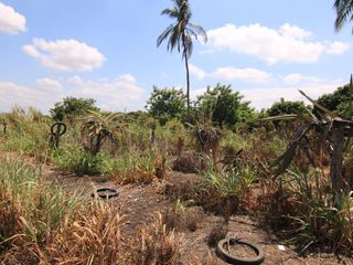 Foto 2 de VENTA DE TERRENO – CARRETERA SULLANA-TAMBOGRANDE-PIURA