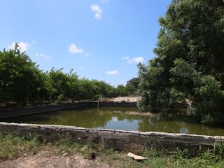 Foto 11 de VENTA DE TERRENO – CARRETERA SULLANA-TAMBOGRANDE-PIURA