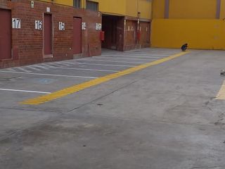 Foto 63 de VENDO TERRENO COMERCIAL EN JIRON CHOTA -  CERCADO DE LIMA