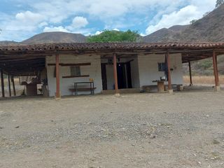 Terreno en venta con sembríos de caña en Catamayo