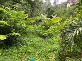 Foto 2 de En Venta Terreno en Quintas vacacionales Silanche, a 5 minutos de Pedro Vicente Maldonado