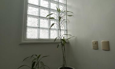 place photo 51