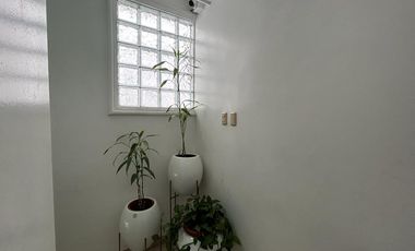 place photo 50